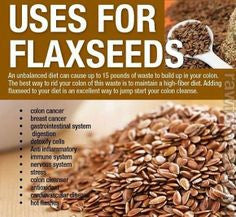 Flax seed Powder
