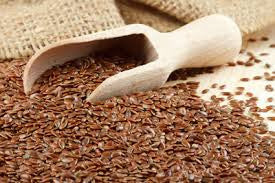 Flax seed Powder